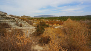 andalusian desert