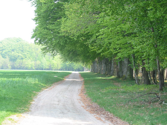 Ein Beispiel der Wege der Mai-O-Fahrt