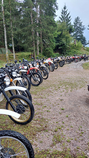 XT500 im Schwarzwald